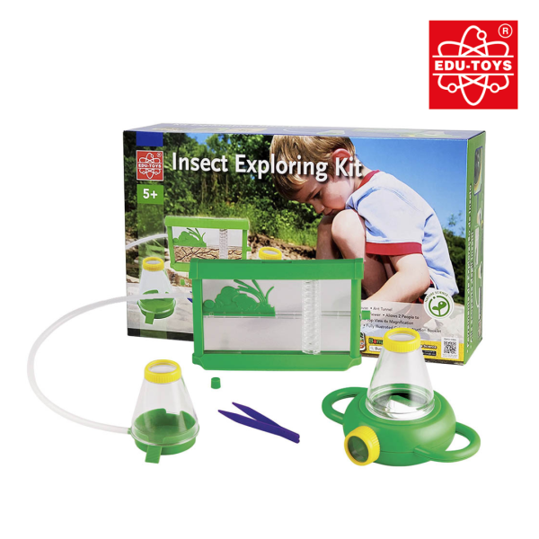 Insects Exploring Kit - Image 2