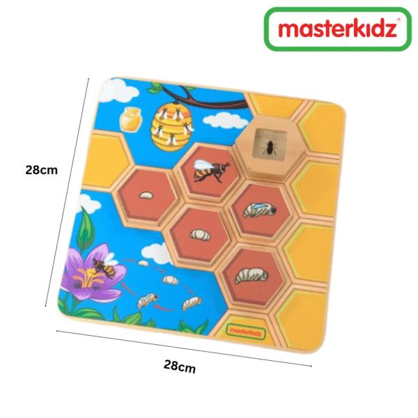 Masterkidz - Bee Life Cycle Handy Learning Board - Image 2