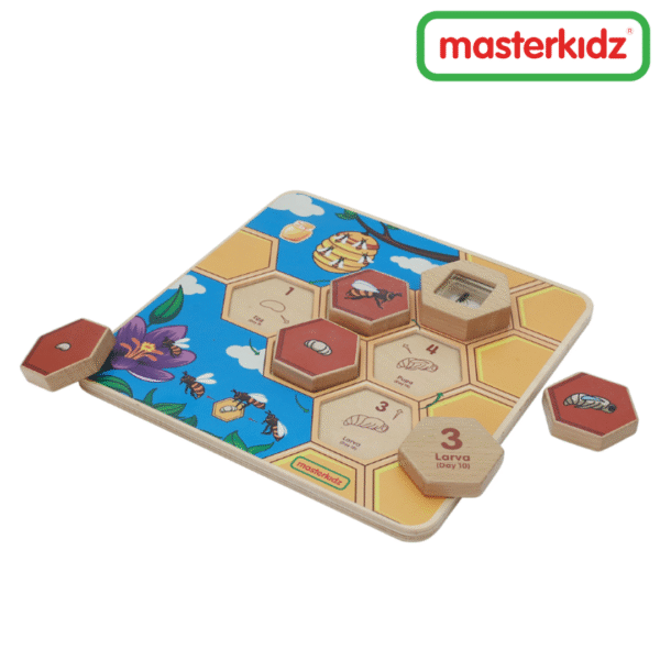 Masterkidz - Bee Life Cycle Handy Learning Board - Image 5