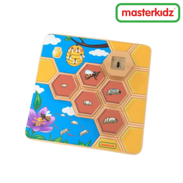 Masterkidz - Bee Life Cycle Handy Learning Board