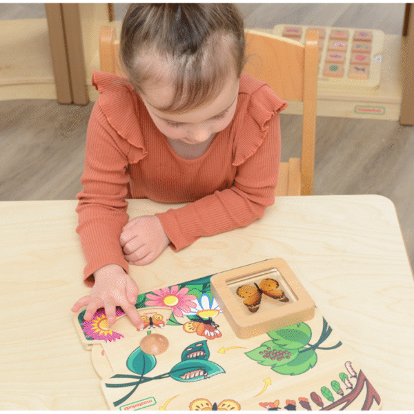 Masterkidz - Butterfly Life Cycle Handy Learning Board - Image 4