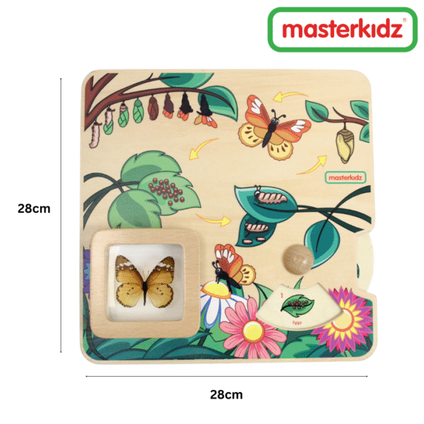 Masterkidz - Butterfly Life Cycle Handy Learning Board - Image 2