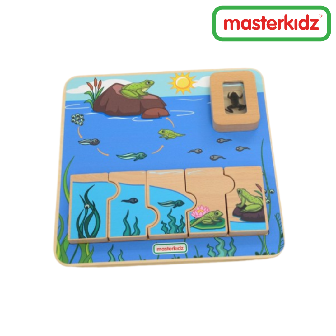 Masterkidz - Frog Life Cycle Handy Learning Board