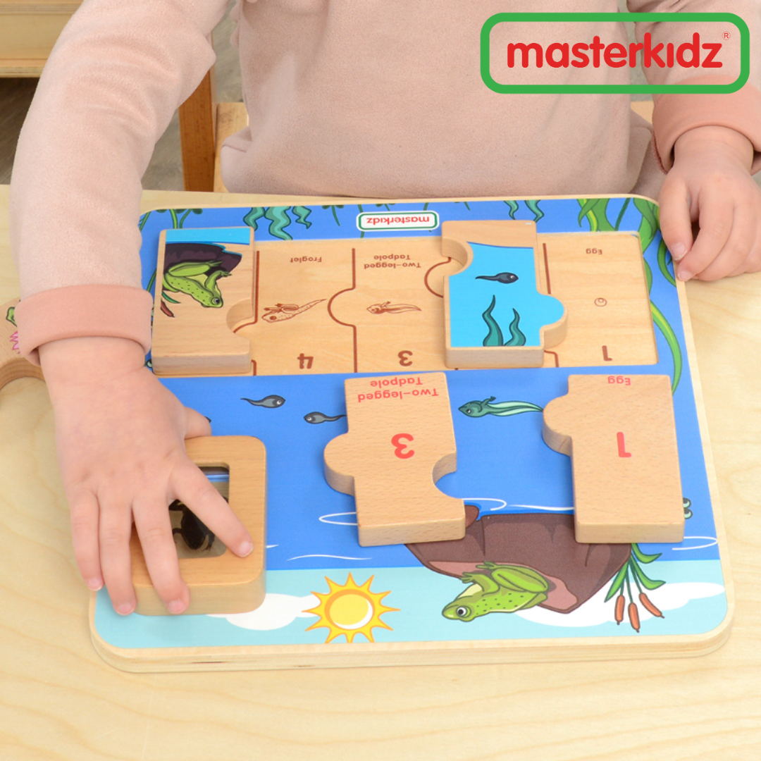 Masterkidz - Frog Life Cycle Handy Learning Board - Image 4