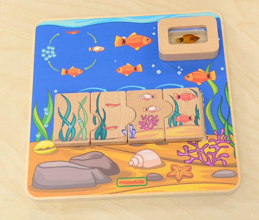 Masterkidz - Fish Life Cycle Handy Learning Board - Image 5