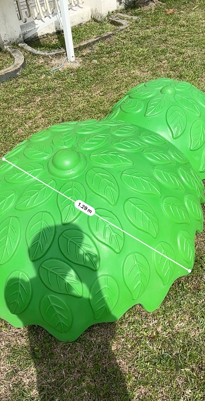 Forest Tree Slide - Image 6