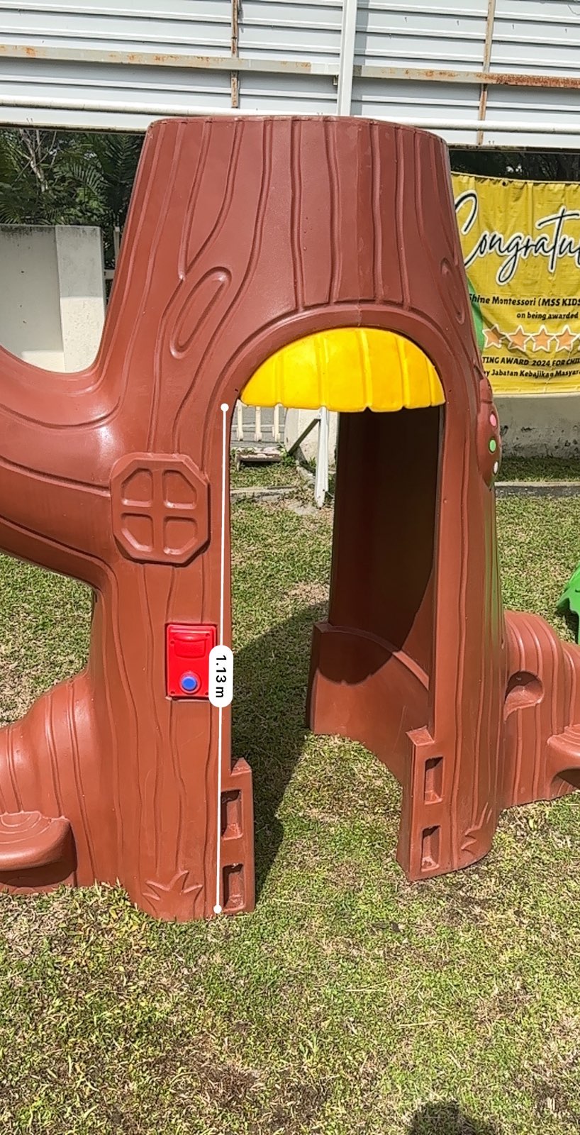 Forest Tree Slide - Image 9