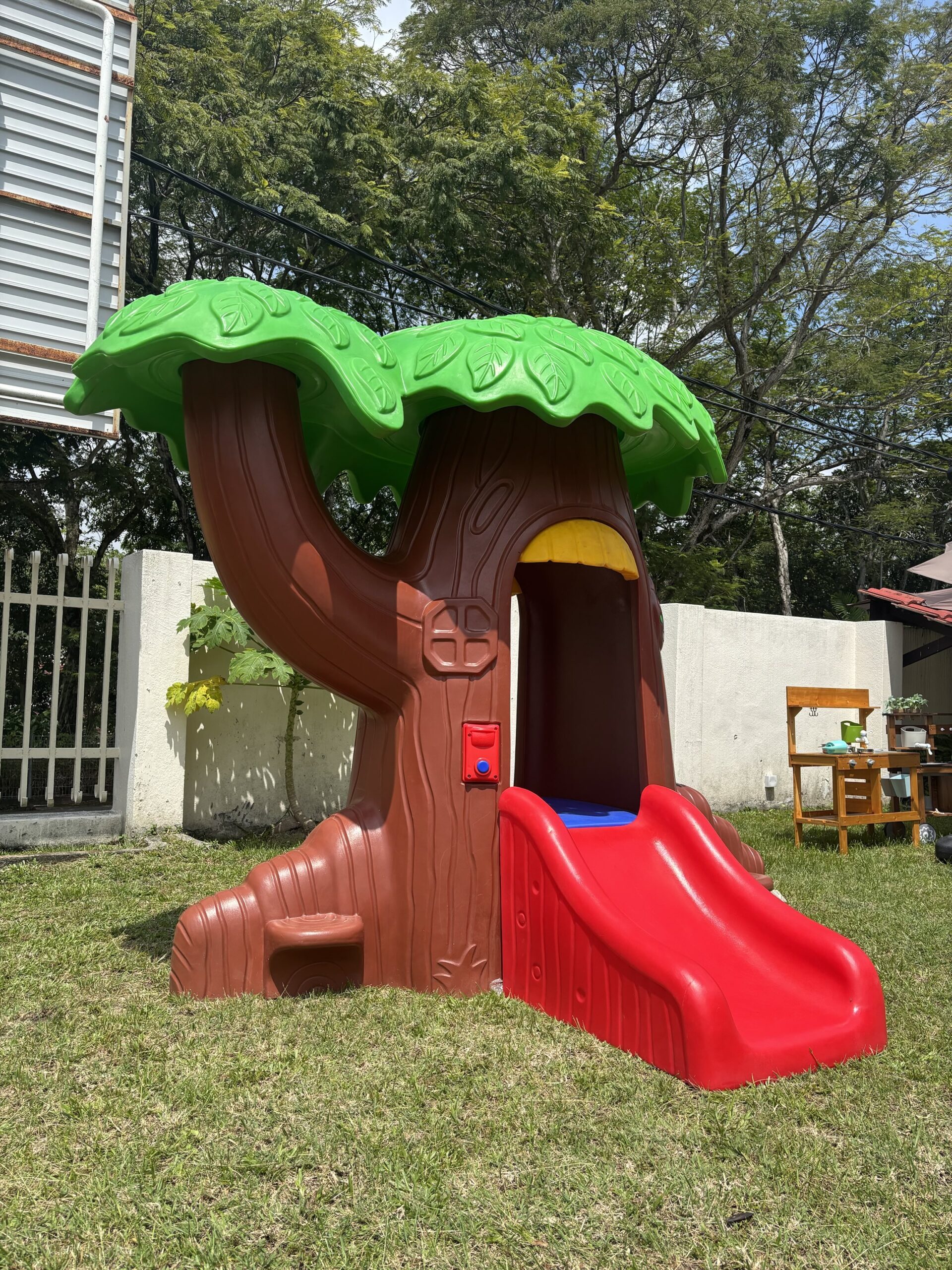 Forest Tree Slide - Image 3