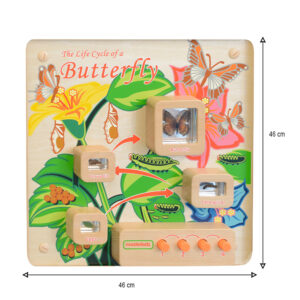 Masterkidz Light-Up Butterfly Life Cycle Stages Panel BME12883