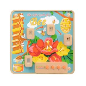 Masterkidz Light-up Bee BME14054 The Life Cycle of a Bee